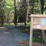 John Murphy Trail in Blue Hill