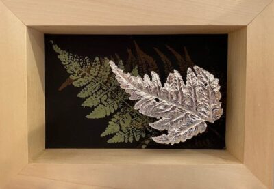 Fern shadow box with green fern and silver fern in natural wood shadow box by Lyn Mayewski
