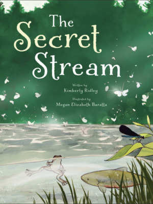 The Secret Stream by Kim Ridley