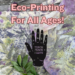 Eco-Printing Workshops